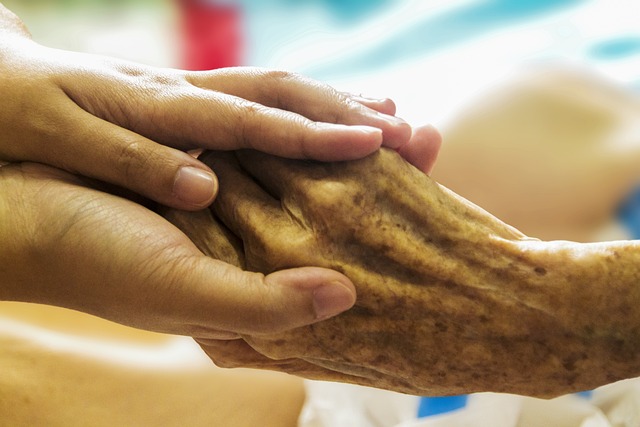 What is Hospice?